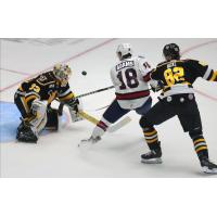 Wheeling Nailers goaltender Taylor Gauthier turns away the Kalamazoo Wings