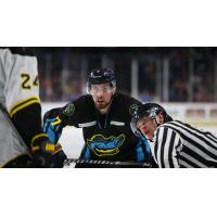 Toledo Walleye forward Sam Craggs