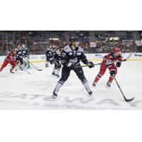 Idaho Steelheads forward Ty Pelton-Byce