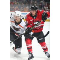 Lehigh Valley Phantoms battle the Charlotte Checkers