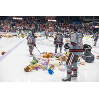 Rockford IceHogs' Teddy Bear Toss