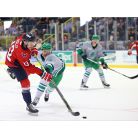 South Carolina Stingrays' Kameron Kielly in action