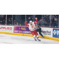 Grand Rapids Griffins react after a goal