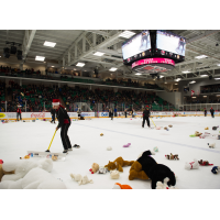 Belleville Senators Teddy Bear Toss