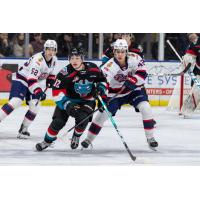 Kelowna Rockets right wing Will Munro