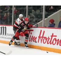 Belleville Senators' Jarid Lukosevicius versus Grand Rapids Griffins' Albert Johansson