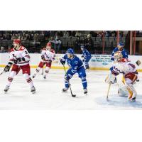 Wichita Thunder's Peter Bates on the ice