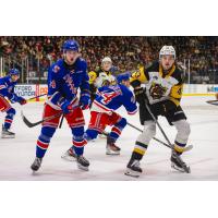 Kitchener Rangers' Cameron Mercer and Brantford Bulldogs' Florian Xhekaj on game night