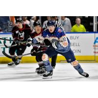 Worcester Railers' Joey Cipollone in action