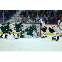 Vancouver Giants battle the Everett Silvertips