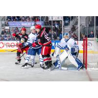 Grand Rapids Griffins set up in front of the Toronto Marlies net