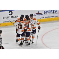 Greenville Swamp Rabbits huddle up