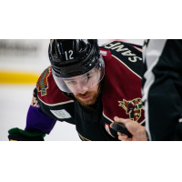 Tucson Roadrunners forward Zach Sanford