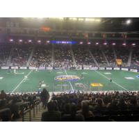 A look at the action as the Georgia Swarm take on the Vancouver Warriors