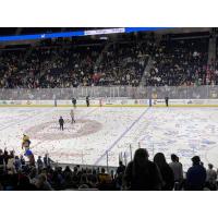 The ice is littered duing chuck-a-puck at an Atlanta Gladiators game