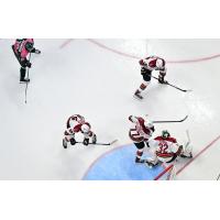 Tucson Roadrunners' Patrik Koch, Victor Soderstrom, Dylan Wells, and Travis Barron on the ice