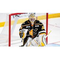 Wheeling Nailers goaltender Taylor Gauthier