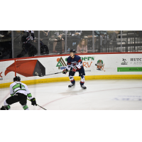 South Carolina Stingrays forward Jonny Evans