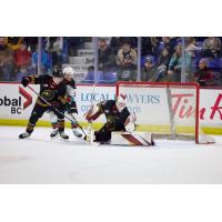 Vancouver Giants goaltender Brett Mirwald