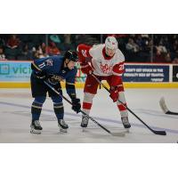 Grand Rapids Griffins face the Cleveland Monsters