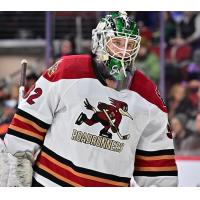 Tucson Roadrunners goaltender Dylan Wells