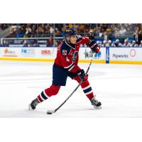 Kitchener Rangers' Hunter Brzustewicz in action