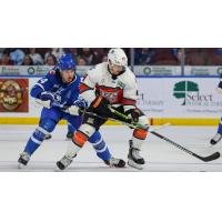 Wichita Thunder take on the Kansas City Mavericks