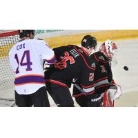 Reading Royals' Ryan Cox and Adirondack Thunder's Colin Felix on game night