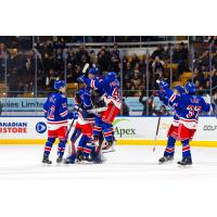 Kitchener Rangers celebrate win