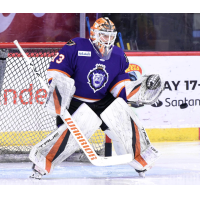 Reading Royals goaltender Nolan Maier