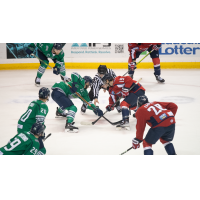 South Carolina Stingrays battle the Florida Everblades