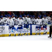 Wichita Thunder celebrate win