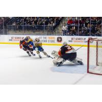 Saskatoon Blades' Brandon Lisowsky battles Medicine Hat Tigers' Andrew Basha and Ethan McCallum