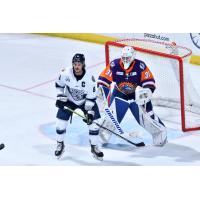 Worcester Railers forward Anthony Repaci vs. the Orlando Solar Bears