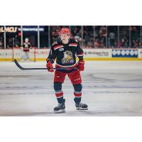 Grand Rapids Griffins right wing Matt Luff