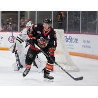 Belleville Senators centre Matthew Highmore