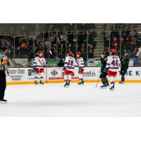 Kitchener Rangers vs. the Peterborough Petes