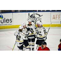 Wheeling Nailers gather after a goal against the Utah Grizzlies