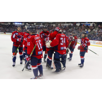 South Carolina Stingrays celebrate a win over the Atlanta Gladiators