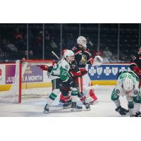 Texas Stars' Mavrik Bourque on game night