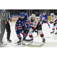 Rochester Americans' Justin Richards and Belleville Senators' Matthew Highmore in action