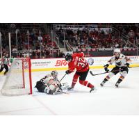 Lehigh Valley Phantoms goaltender Felix Sandström smothers a shot by the Charlotte Checkers