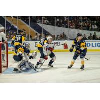 South Carolina Stingrays battle the Norfolk Admirals