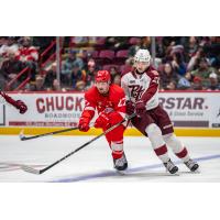 Sault Ste. Marie Greyhounds' Julian Fantino and Peterborough Petes' Nathan Leek in action