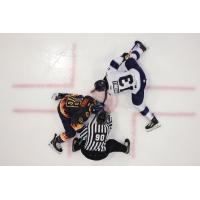 Florida Everblades' Mark Senden versus Worcester Railers' Jake Pivonka