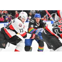 Belleville Senators' Egor Sokolov versus Syracuse Crunch's Gabriel Fortier