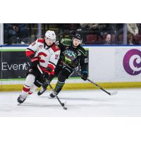 Prince George Cougars' Carlin Dezainde and Kelowna Rockets' Gabriel Szturc in action