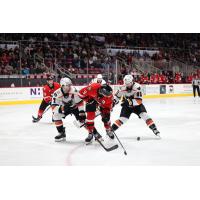 Lehigh Valley Phantoms battle the Charlotte Checkers