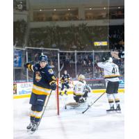 Erie Otters react after a goal against the Kingston Frontenacs