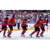 Red Deer Rebels on the ice